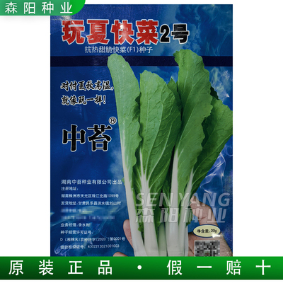 抗热甜脆真好吃2号快菜种子籽