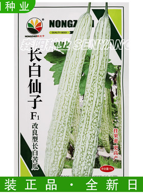 农之子改良长白苦瓜种子中晚熟