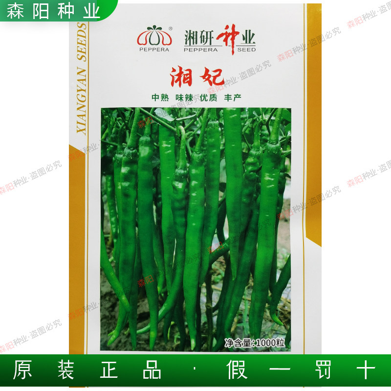 湘研湘妃辣椒种子中熟高产特辣长尖椒薄皮脆嫩鲜食青红二荆条线椒