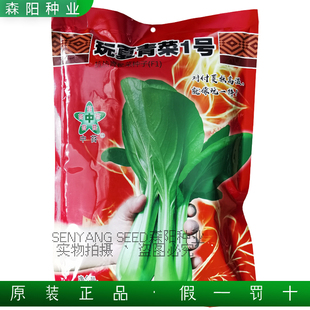 中苔玩夏青菜1号耐热青梗菜种子高梗小白菜夏绿鸡毛菜上海青大全