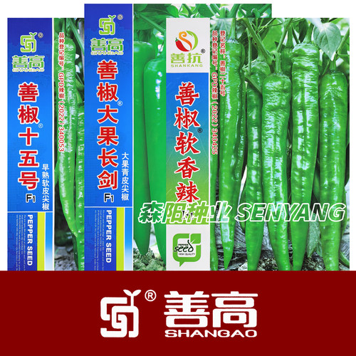 善椒软香辣粗长牛角椒软皮2307