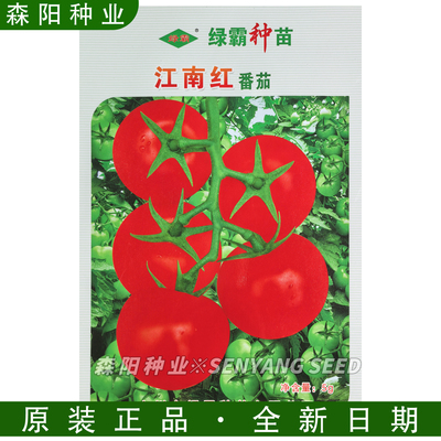 绿霸江南红番茄种子中熟无限生长