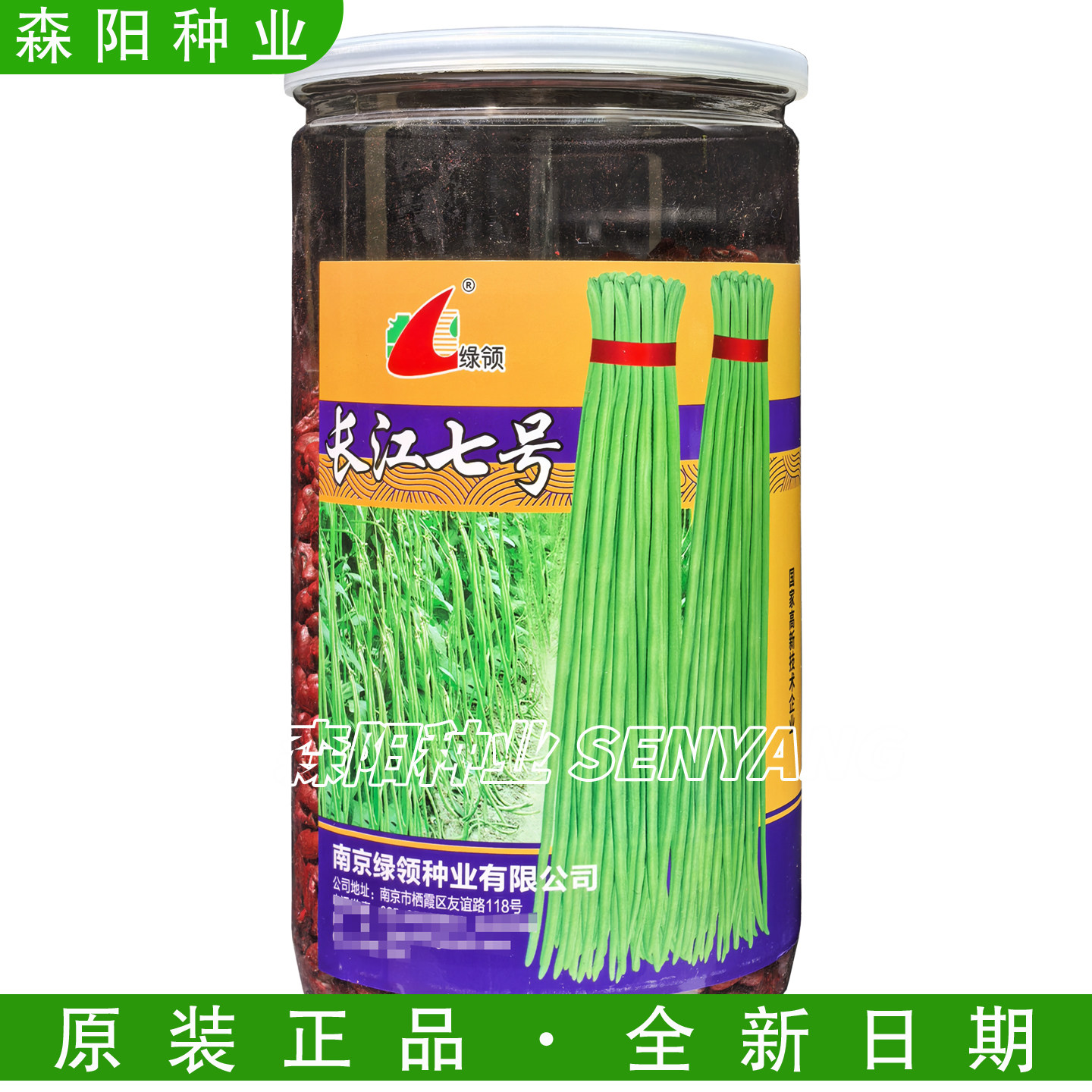 绿领长江七号豇豆种子早熟绿白条长豆角春夏秋季夏之恋高产四季豆