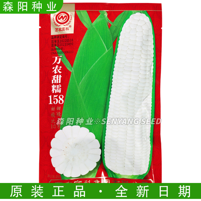 万农甜糯玉米种子白甜糯大棒