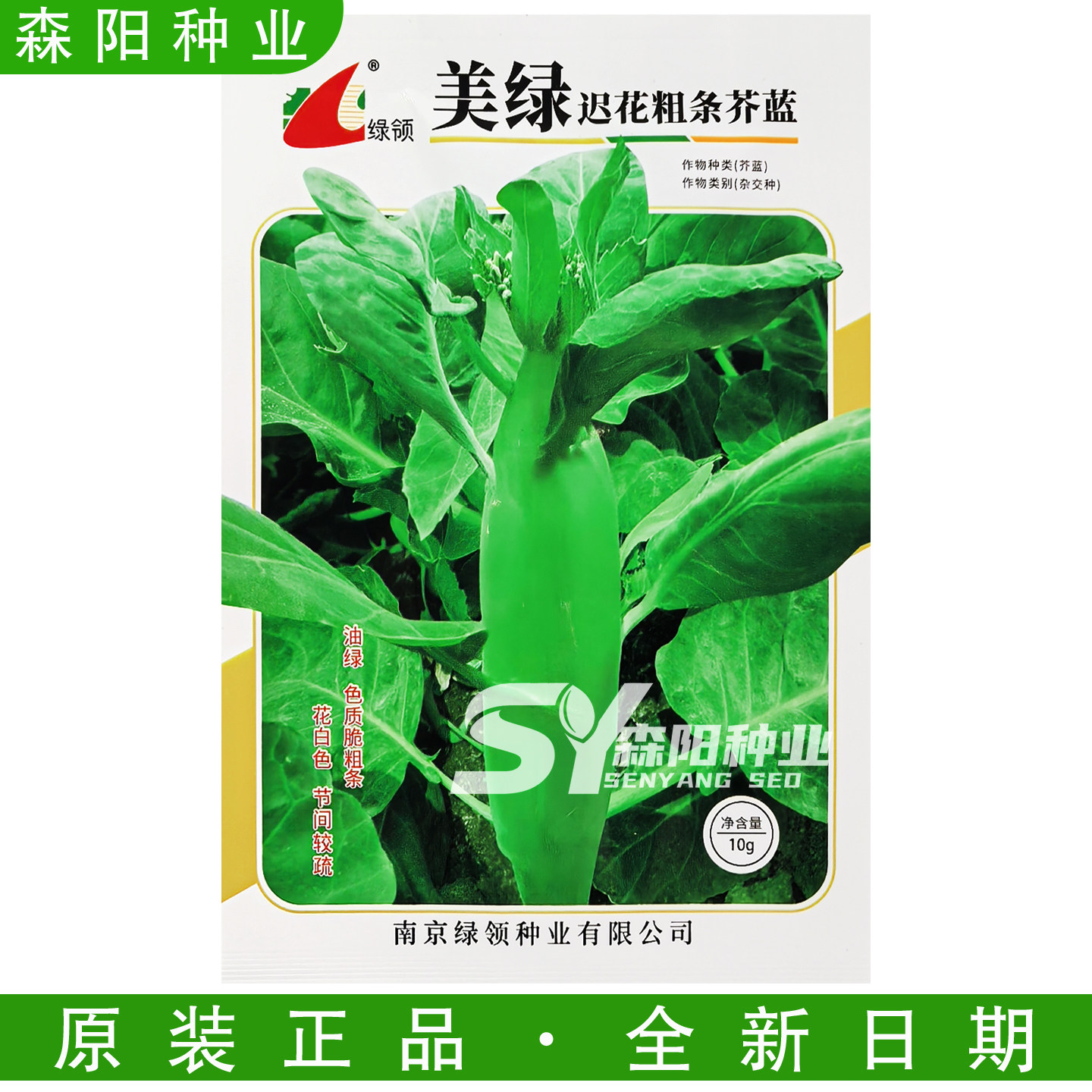 绿领美迟花粗条芥蓝杂交种