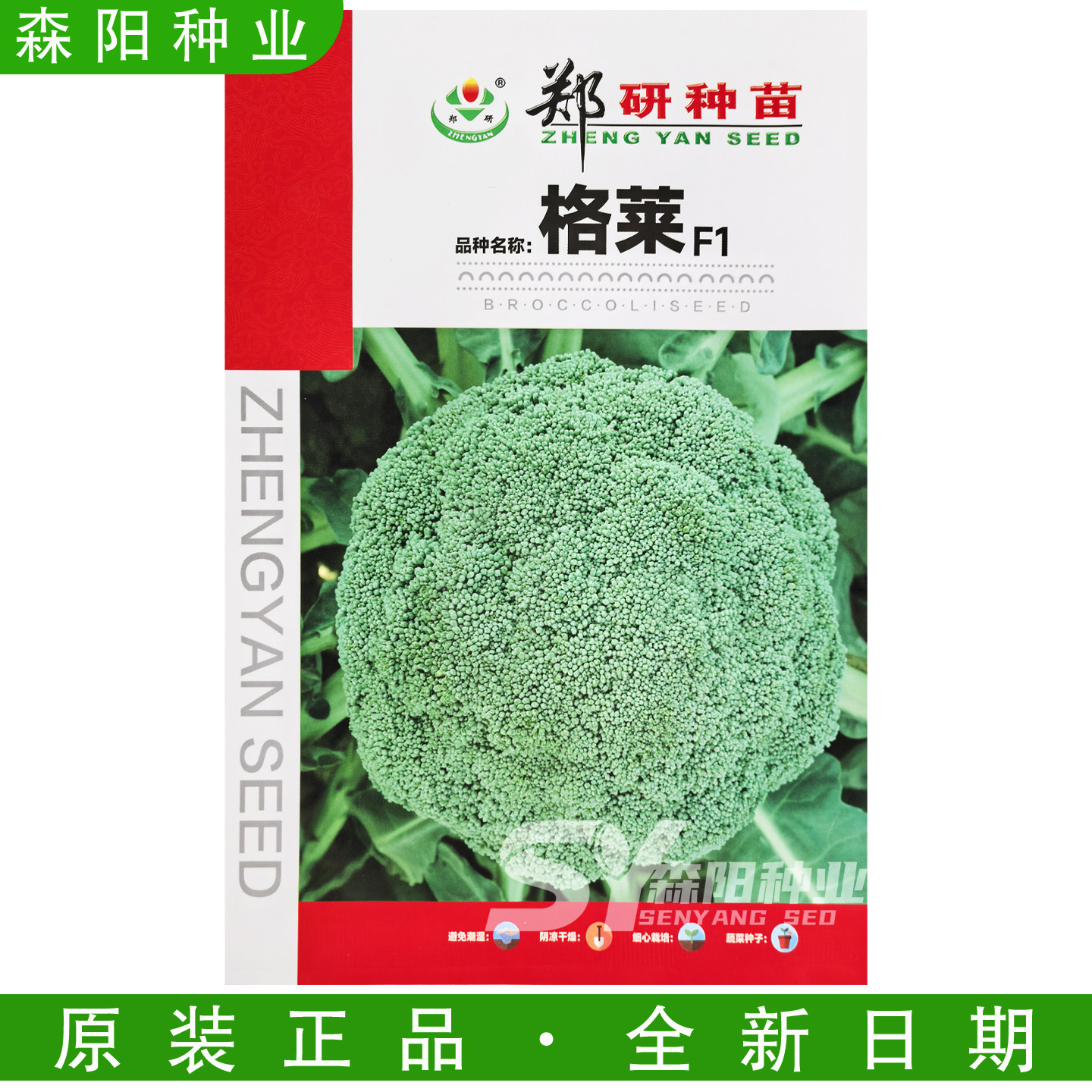 郑研格莱西兰花种子78天中熟