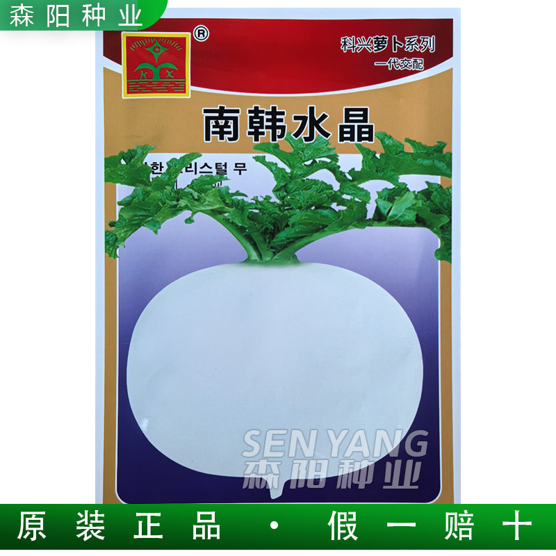 科兴南韩水晶萝卜种子早熟薄皮清甜脆嫩白皮四川圆萝卜秋冬季蔬菜