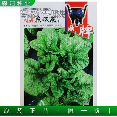 鼎牌嫩糯东汉菜种子籽高钙冬寒菜