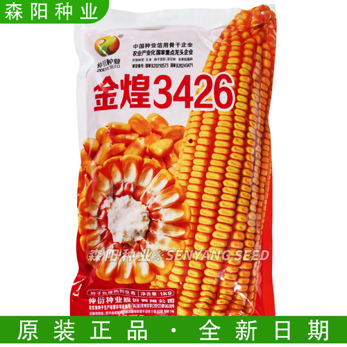 仲衍种业金煌3426玉米种子高产