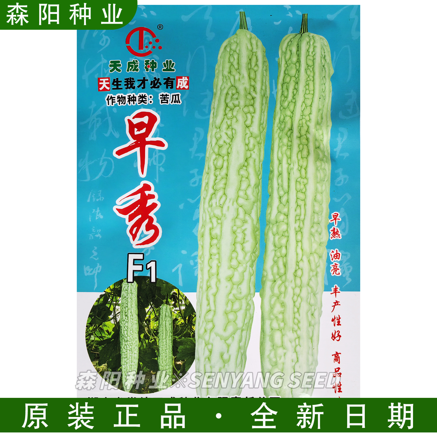 天畅早秀苦瓜种油亮型抗病玉翠苦
