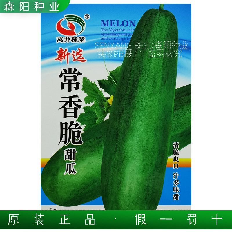 万井新选常香脆甜瓜种子早熟高产耐热常德沙瓜本地脆香菜瓜新香玉