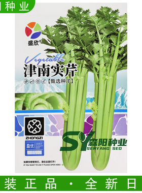 盛欣津南实芹种子叶柄实心黄绿色实心芹菜高产抗病春秋季四季香芹