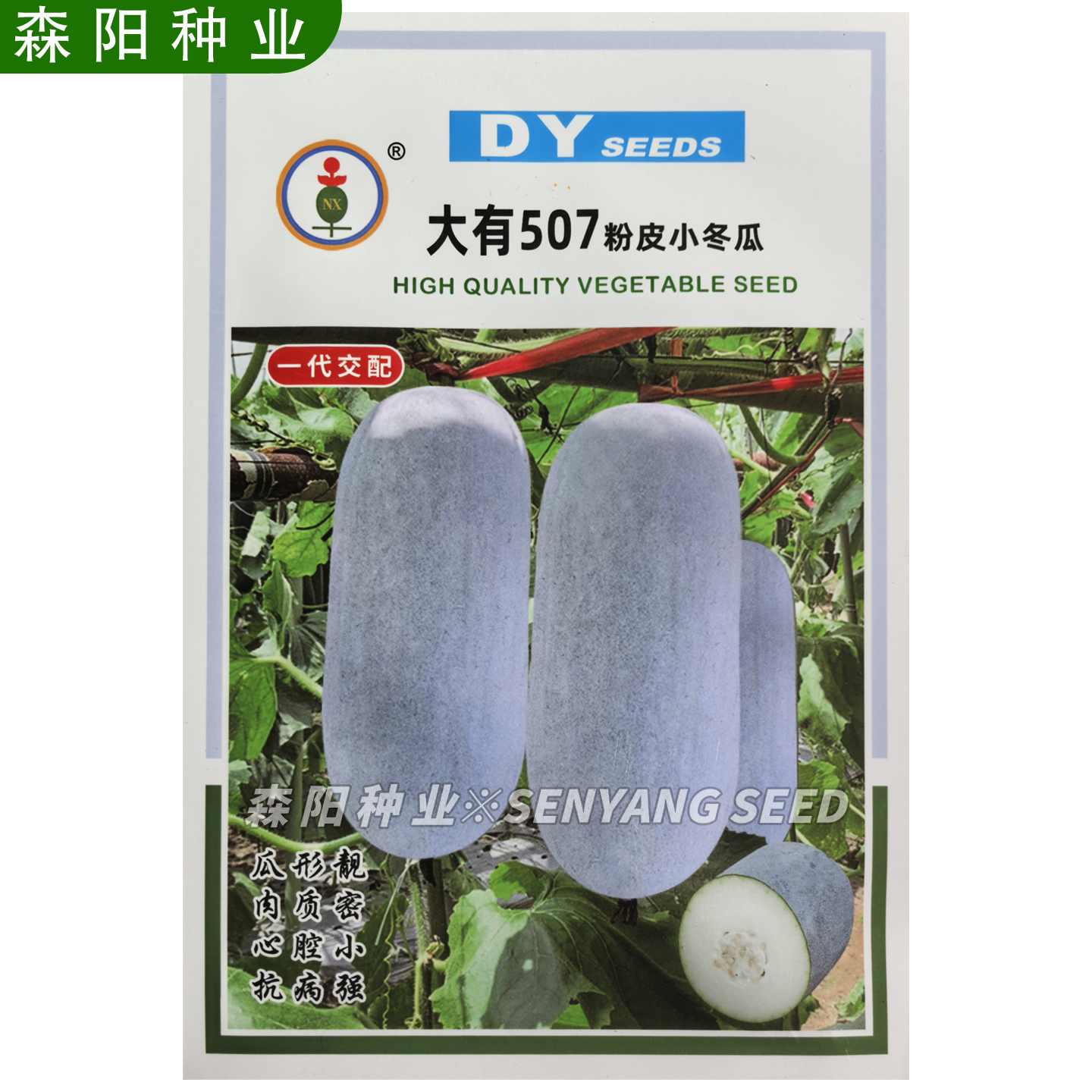 NX 大有507粉皮小冬瓜种子春秋季抗病高产适应性广粉地龙香芋节瓜