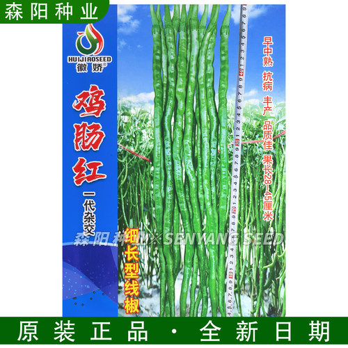 徽娇鸡肠红辣椒种子抗病高产