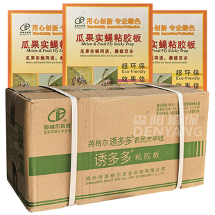 英格尔瓜果实蝇粘胶板诱多多实蝇针蜂小飞虫诱虫板粘虫黄板诱粘剂