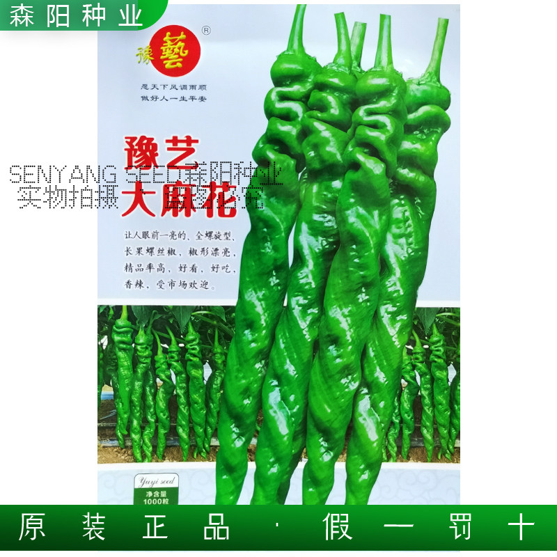 豫艺大麻花辣椒种子大果螺丝椒薄皮香辣陇椒春秋季基地辣椒籽大全