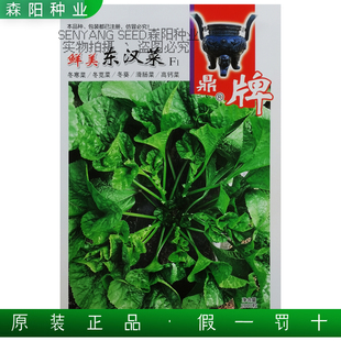 鼎牌鲜美东汉菜种子秋冬季糯嫩冬苋菜高钙滑肠菜阳台盆栽蔬菜冬葵