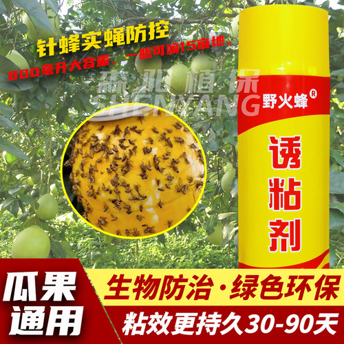 瓜果实蝇诱粘剂雌雄双诱喷胶瓜园