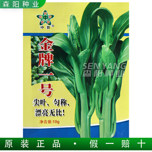 中苔金牌一号菜苔种子抗热极早熟