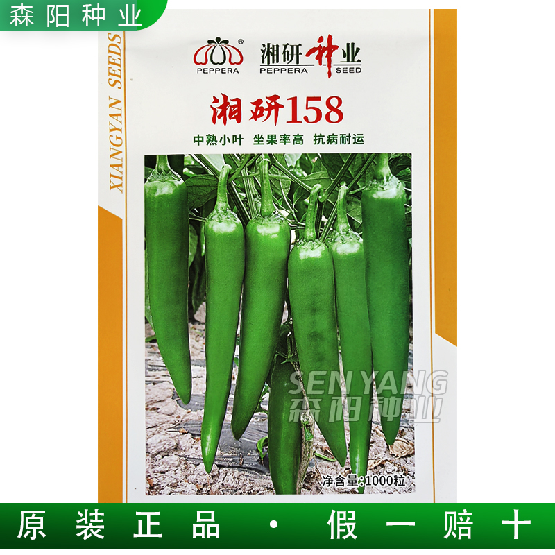 湘研158辣椒种中晚熟中辣牛角椒