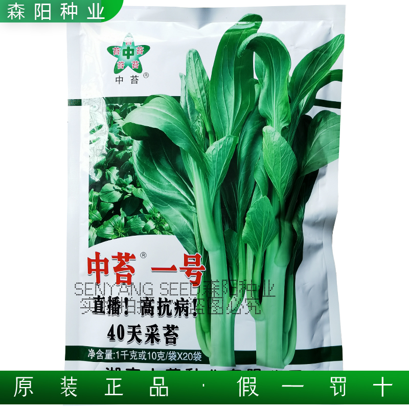 中苔一号菜苔种子40天极早熟