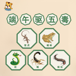 幼儿园端午节主题墙环创布置装饰传统节日习俗包粽子流程图驱五毒