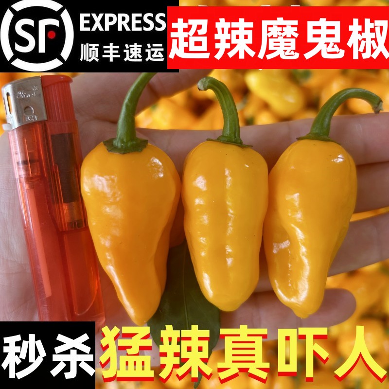 巴溪湾瓶装永安黄椒超辣香无添加