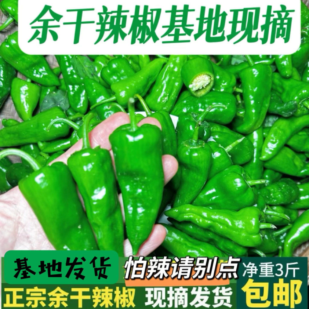 【新鲜发货】正宗余干椒新鲜辣椒薄皮特辣香辣高山泡菜超辣土辣椒