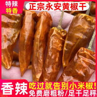 永安黄椒干辣椒粉超辣特辣段干火锅变态辣椒面魔鬼辣椒干货黄丹辣