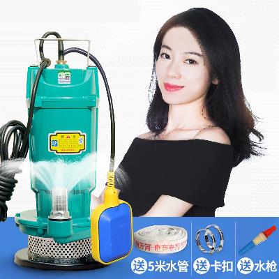 СÐͼÒÓÃDZˮ±Ã30W50W220VÂÁ¿ÇÅ©Óþ®Óóéˮһ´çũҵ¹à¸È½½Ë®»ú