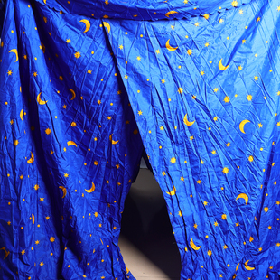 遮光蚊帐老式印花蚊帐传统可以传绑绳家用卧室四季款防蚊蚊帐