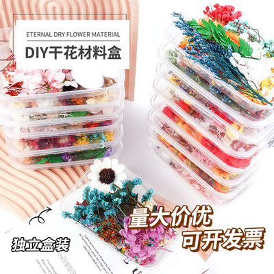 天然干花永生花假花仿真花儿童手工diy团扇材料包干花贺卡幼儿园