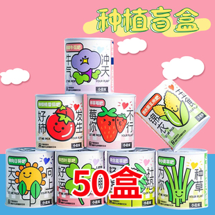 儿童小学生植物罐头伴手礼盆栽桌迷你绿植种子盲盒奖励品毕业礼物