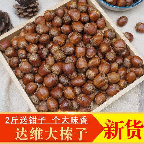 新货原味炒熟达维大榛子