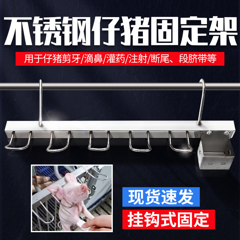 小猪挂猪架猪用断尾灌药滴鼻剪牙挂钩固定架仔猪阉割架打针固定器