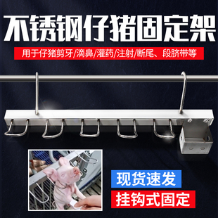 小猪挂猪架猪用断尾灌药滴鼻剪牙挂钩固定架仔猪阉割架打针固定器