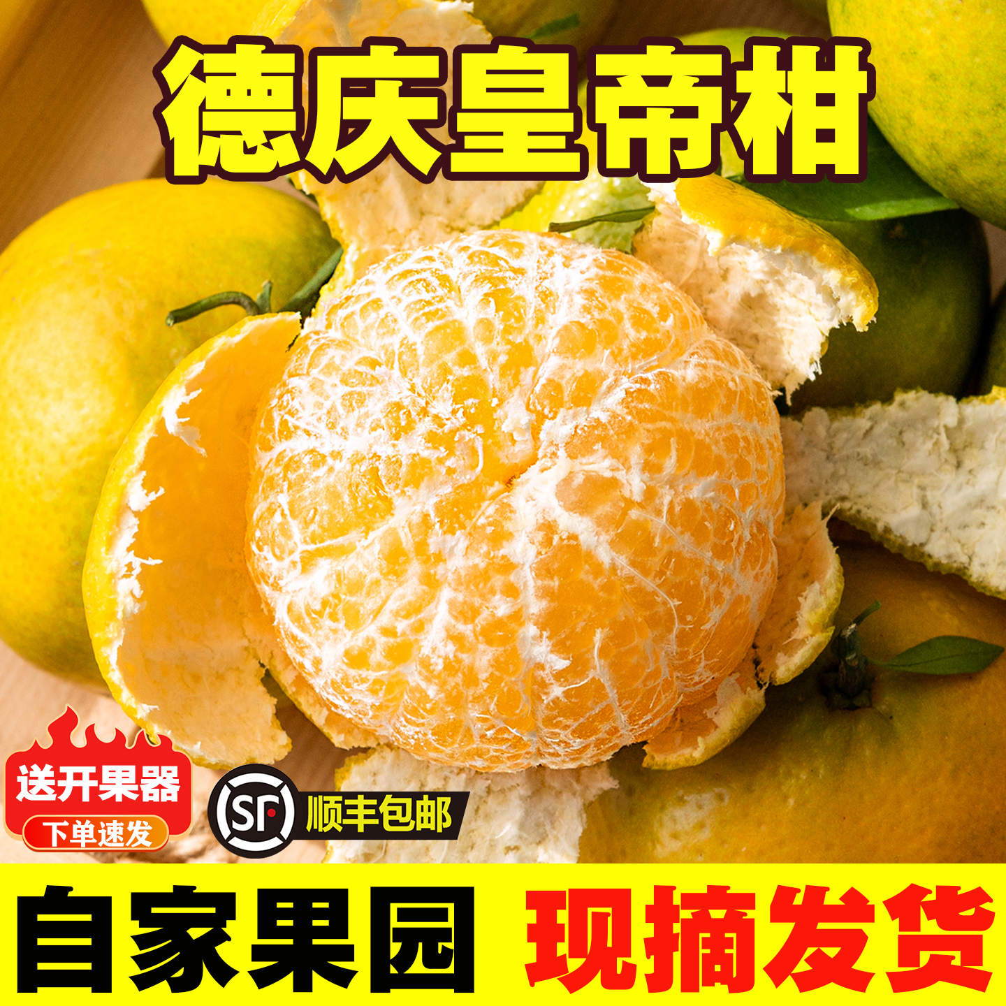 【德庆原产地】正宗皇帝贡柑