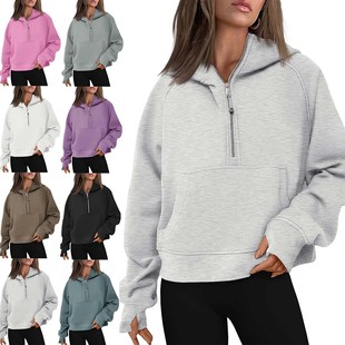 亚马逊爆款 连帽拉链加厚卫衣上衣跨境外贸女 欧美秋冬新款