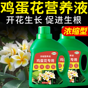 鸡蛋花专用肥缅栀子肥料复合浓缩营养液蛋黄花有机花卉园艺花肥