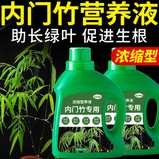 内门竹专用肥营养液肥料盆栽室内盆景竹子竹类复合浓缩观叶植物肥