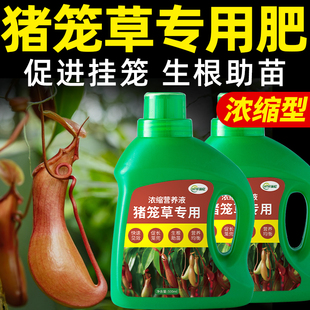 猪笼草肥料食虫草专用肥盆栽植物营养液家庭园艺复合有机缓释花肥