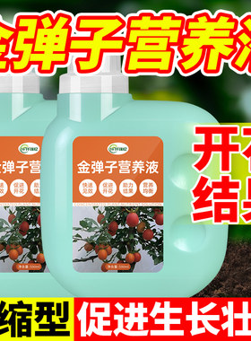 老鸦柿营养液金弹子专用肥金蛋子复合肥料促挂果盆景绿植盆栽花肥