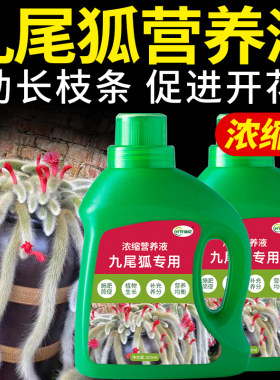 九尾狐多肉植物专用肥营养液肥料猴尾柱仙人掌盆栽绿植复合花肥
