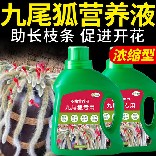 九尾狐多肉植物专用肥营养液肥料猴尾柱仙人掌盆栽绿植复合花肥