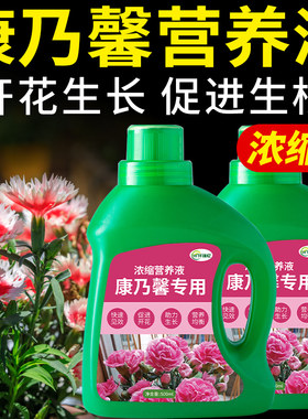 康乃馨营养液香石竹专用肥荷兰石竹盆栽花卉肥料植物家用绿植花肥