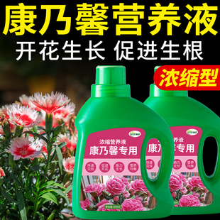 康乃馨营养液香石竹专用肥荷兰石竹盆栽花卉肥料植物家用绿植花肥