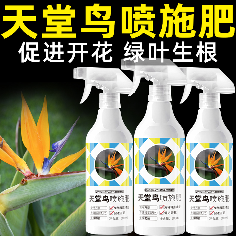 天堂鸟专用肥料绿植盆栽喷施肥