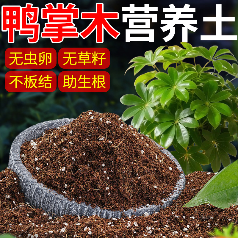 鸭掌木专用土盆栽园艺鹅掌柴营养土植物大叶伞有机八方来财土壤