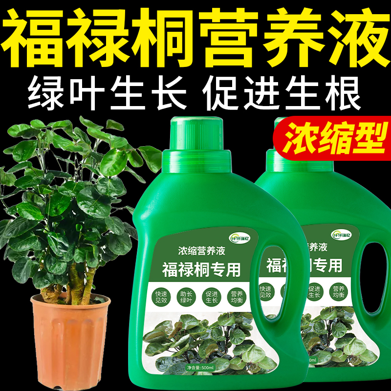 福禄桐肥料圆叶金钱兜专用肥盆栽营养液绿叶复合植物绿植园艺花肥