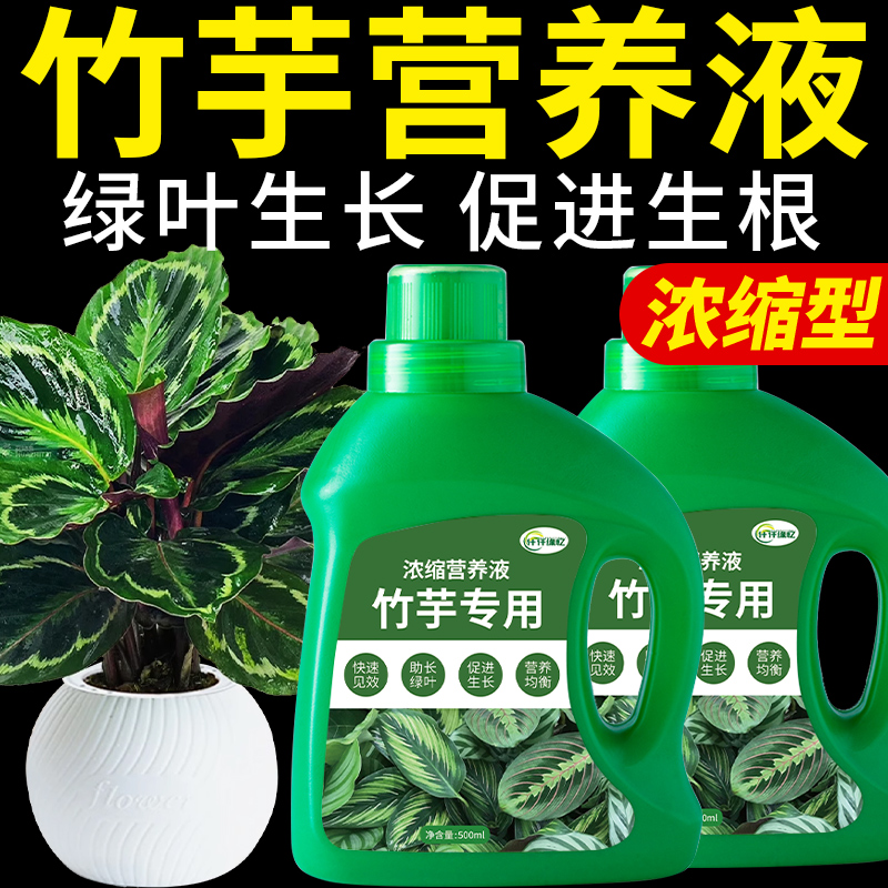 竹芋植物肥料青苹果彩叶油画飞羽竹芋专用肥营养液观叶绿植盆栽肥